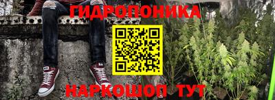 амф Сланцы