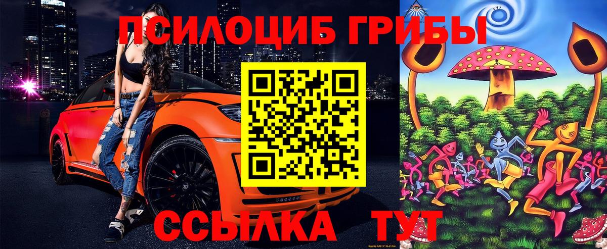 Галлюциногенные грибы Psilocybe  Вход с VPN  Галлюциногенные грибы Psilocybine cubensis  Нальчик 